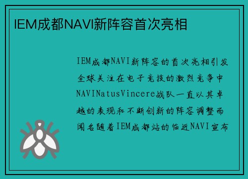 IEM成都NAVI新阵容首次亮相